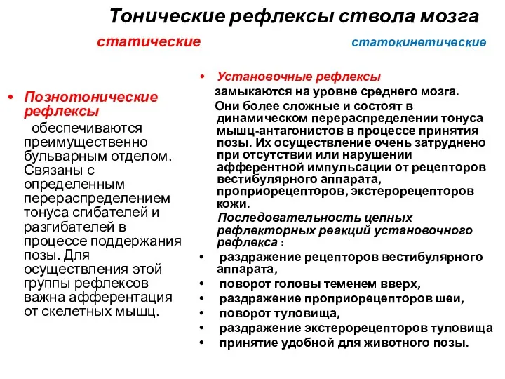 Тонические рефлексы ствола мозга статические статокинетические Познотонические рефлексы обеспечиваются преимущественно