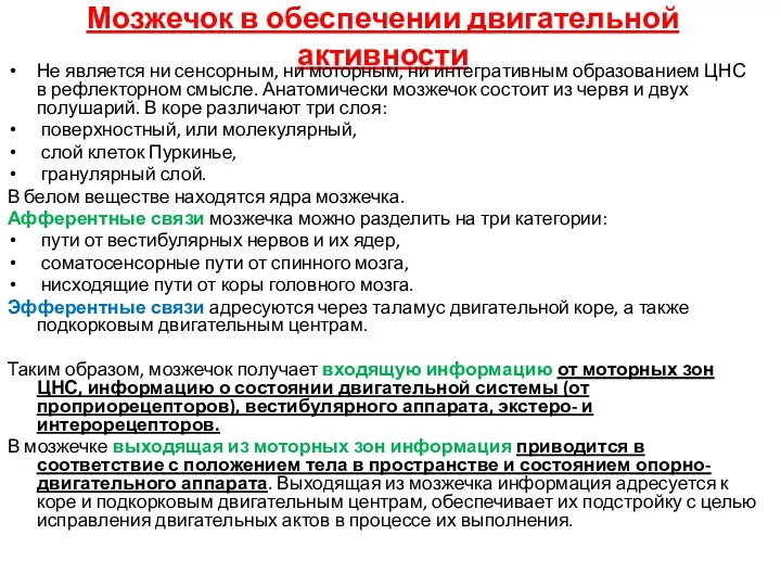 Мозжечок в обеспечении двигательной активности Не является ни сенсорным, ни