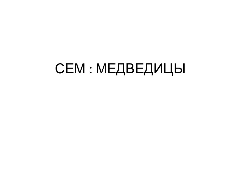 СЕМ : МЕДВЕДИЦЫ