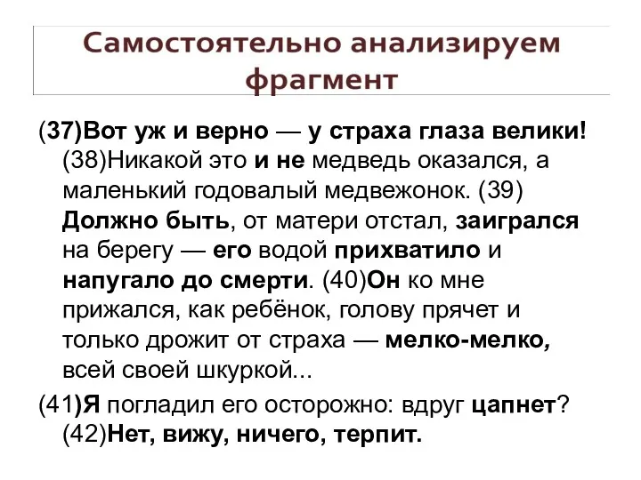 (37)Вот уж и верно — у страха глаза велики! (38)Никакой