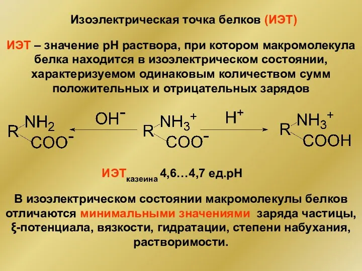 Изоэлектрическая точка белков (ИЭТ) ИЭТ – значение рН раствора, при