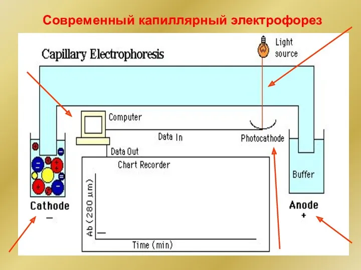 Современный капиллярный электрофорез