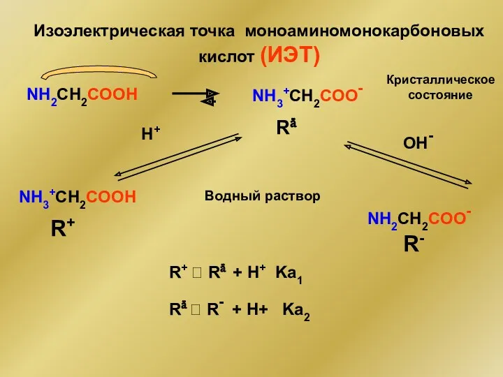 Изоэлектрическая точка моноаминомонокарбоновых кислот (ИЭТ) NH2CH2COOH NH3+CH2COOН Кристаллическое состояние Rä