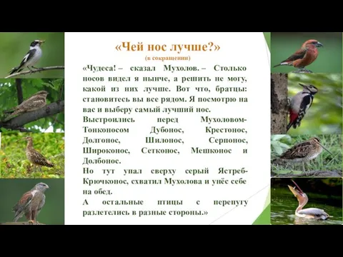 «Чудеса! – сказал Мухолов. – Столько носов видел я нынче,