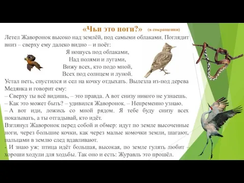 «Чьи это ноги?» Летел Жаворонок высоко над землёй, под самыми