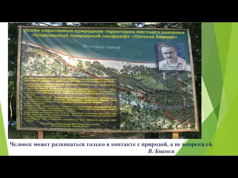 Человек может развиваться только в контакте с природой, а не вопреки ей. В. Бианки