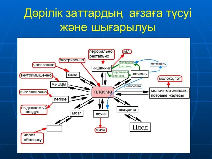 Дәрілік заттардың ағзаға түсуі және шығарылуы Плод