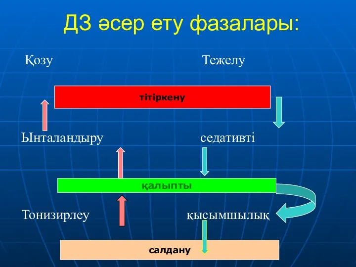 ДЗ әсер ету фазалары: Қозу Тежелу Ынталандыру седативті Тонизирлеу қысымшылық қалыпты тітіркену салдану