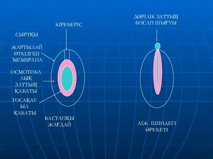 ДӘРІЛІК ЗАТТЫҢ БОСАП ШЫҒУЫ АІЖ ІШІНДЕГІ ӘРЕКЕТІ КІРЕБЕРІС СЫРТҚЫ ЖАРТЫЛАЙӨТКІЗГІШ