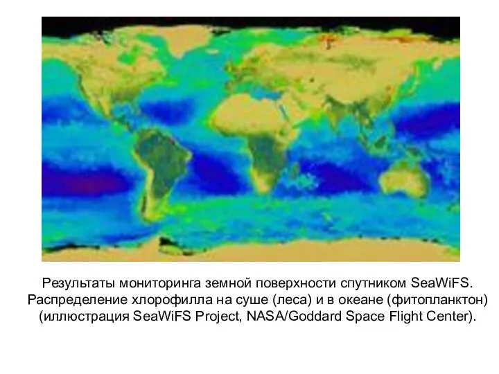 Результаты мониторинга земной поверхности спутником SeaWiFS. Распределение хлорофилла на суше
