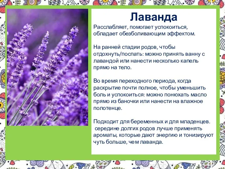 Лаванда Расслабляет, помогает успокоиться, обладает обезболивающим эффектом. На ранней стадии