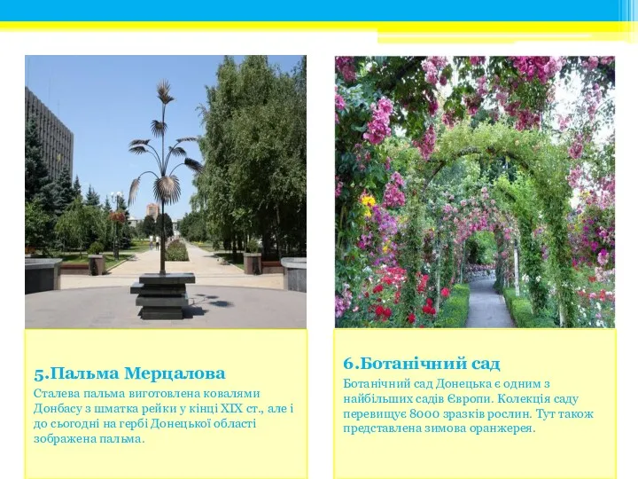 6.Ботанічний сад Ботанічний сад Донецька є одним з найбільших садів