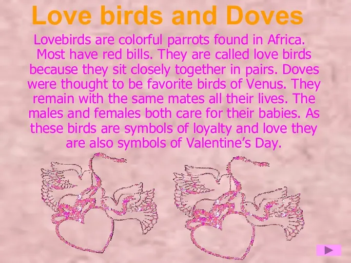Love birds and Doves Lovebirds are colorful parrots found in