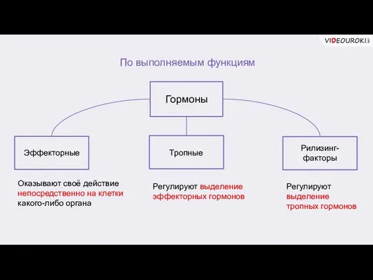 Гормоны По выполняемым функциям Эффекторные Рилизинг- факторы Тропные Оказывают своё