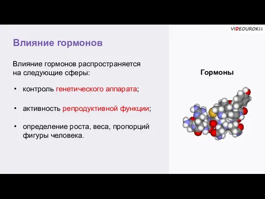 Влияние гормонов Гормоны Влияние гормонов распространяется на следующие сферы: контроль