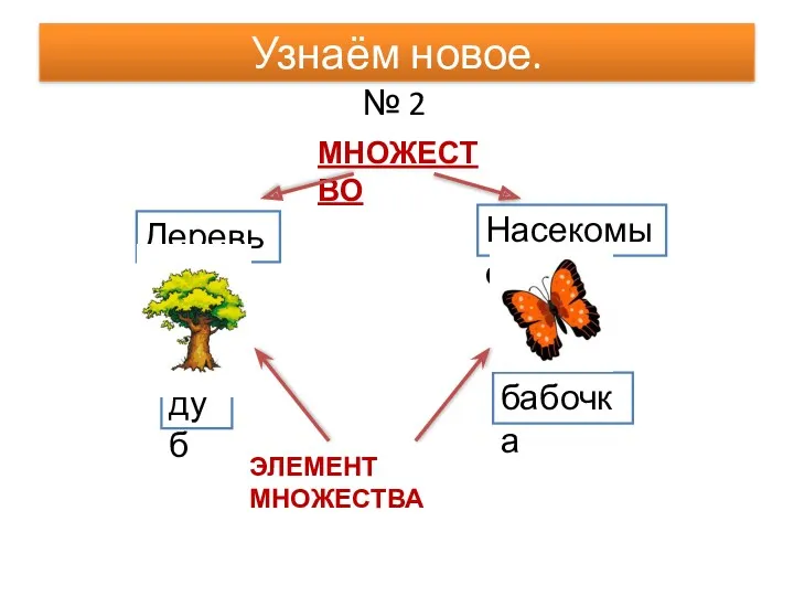 № 2 Узнаём новое. Деревья Насекомые дуб бабочка МНОЖЕСТВО ЭЛЕМЕНТ МНОЖЕСТВА