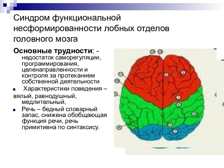 Синдром функциональной несформированности лобных отделов головного мозга Основные трудности: - недостаток саморегуляции, программирования,