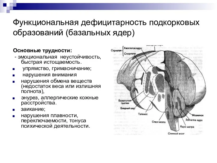 Функциональная дефицитарность подкорковых образований (базальных ядер) Основные трудности: - эмоциональная