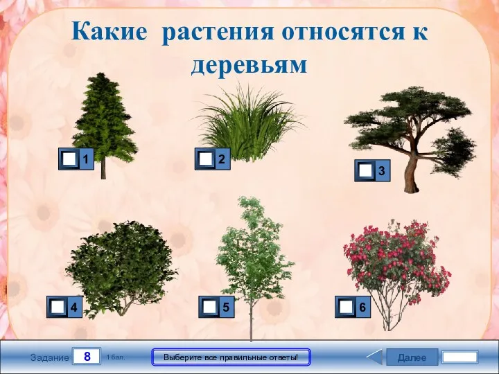 Далее 8 Задание 1 бал. Выберите все правильные ответы! Какие растения относятся к деревьям