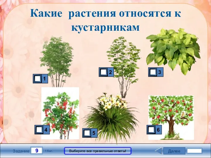 Далее 9 Задание 1 бал. Выберите все правильные ответы! Какие растения относятся к кустарникам