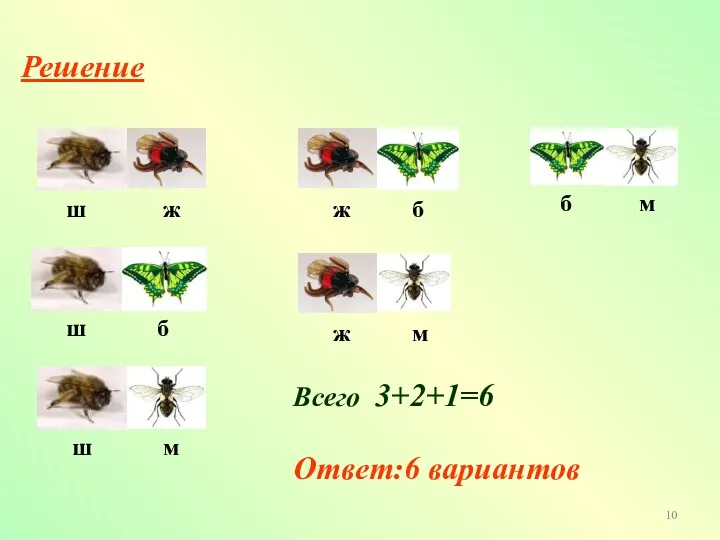 Решение Всего 3+2+1=6 Ответ:6 вариантов ш ш ш ж ж