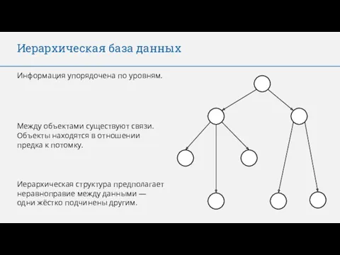 Иерархическая база данных Информация упорядочена по уровням. Между объектами существуют