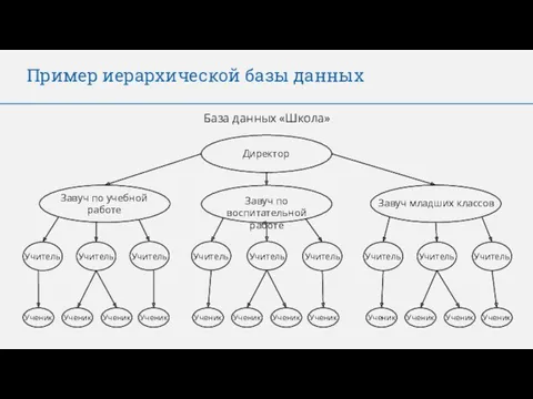 Пример иерархической базы данных База данных «Школа» Директор Завуч по