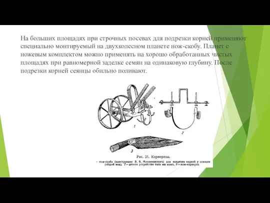 На больших площадях при строчных посевах для под­резки корней применяют