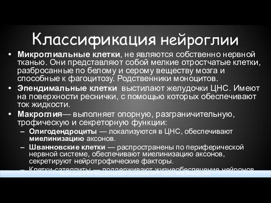 Классификация нейроглии Микроглиальные клетки, не являются собственно нервной тканью. Они