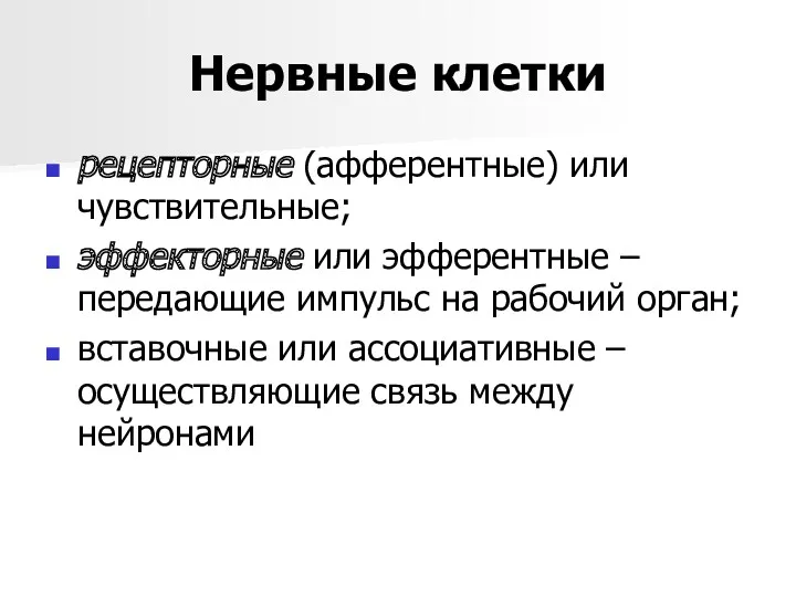 Нервные клетки рецепторные (афферентные) или чувствительные; эффекторные или эфферентные –