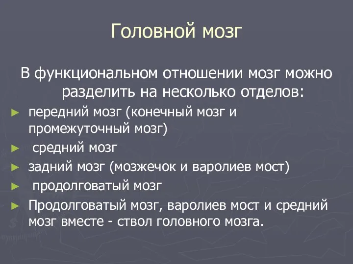 Головной мозг В функциональном отношении мозг можно разделить на несколько