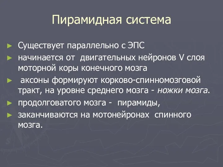 Пирамидная система Существует параллельно с ЭПС начинается от двигательных нейронов