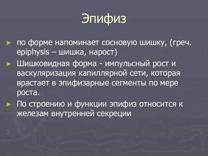 Эпифиз по форме напоминает сосновую шишку, (греч. epiphysis – шишка,