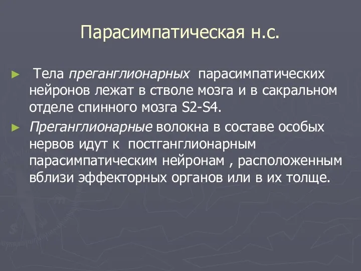 Парасимпатическая н.с. Тела преганглионарных парасимпатических нейронов лежат в стволе мозга