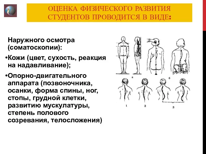 ОЦЕНКА ФИЗИЧЕСКОГО РАЗВИТИЯ СТУДЕНТОВ ПРОВОДИТСЯ В ВИДЕ: Наружного осмотра (соматоскопии): Кожи (цвет, сухость,