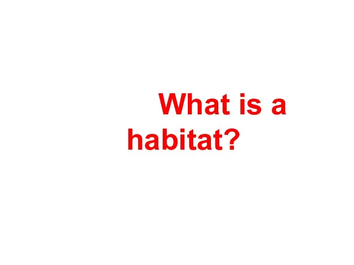 What is a habitat?