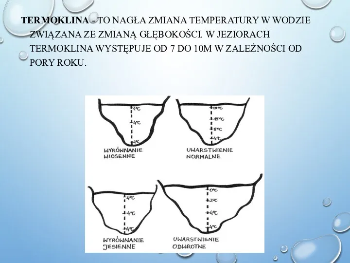 TERMOKLINA - TO NAGŁA ZMIANA TEMPERATURY W WODZIE ZWIĄZANA ZE