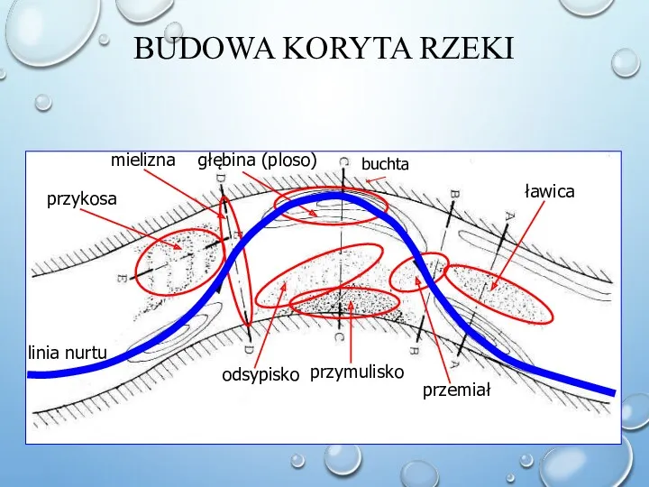 BUDOWA KORYTA RZEKI ławica linia nurtu przemiał przymulisko głębina (ploso) mielizna odsypisko przykosa buchta