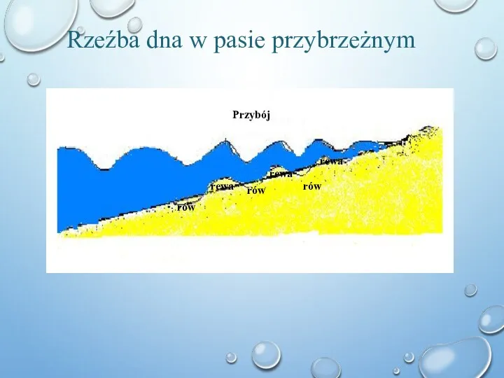 Rzeźba dna w pasie przybrzeżnym Przybój rewa rewa rewa rów rów rów