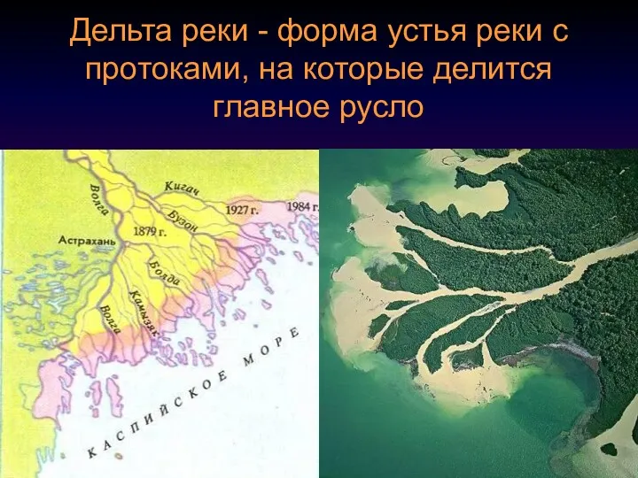 Дельта реки - форма устья реки с протоками, на которые делится главное русло