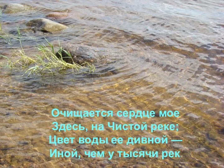 Очищается сердце мое Здесь, на Чистой реке; Цвет воды ее