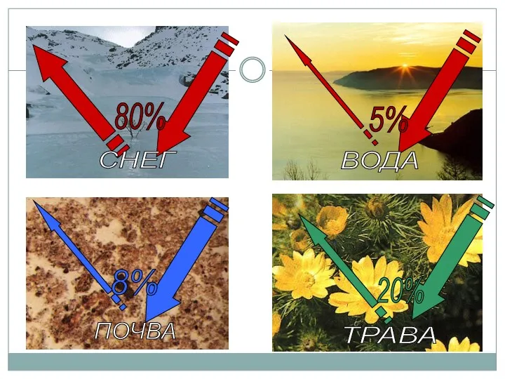 80% 5% 8% 20% СНЕГ ВОДА ПОЧВА ТРАВА