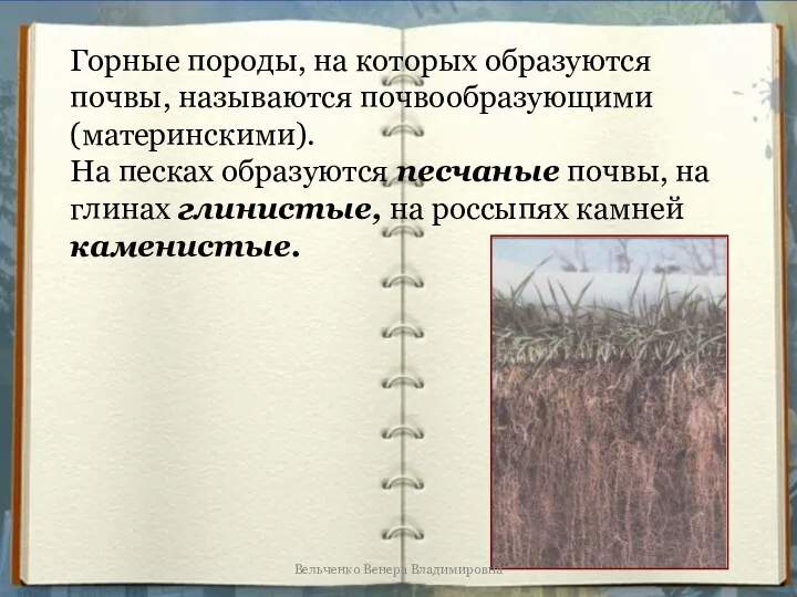 Горные породы, на которых образуются почвы, называются почвообразующими (материнскими). На