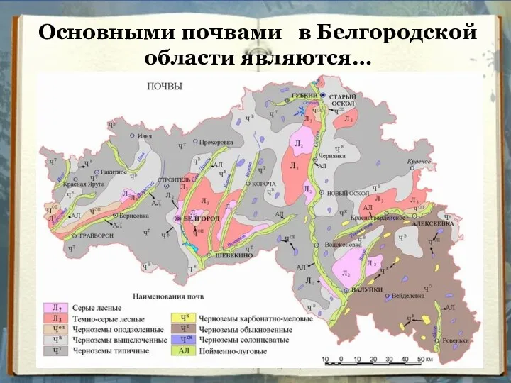 Основными почвами в Белгородской области являются… Вельченко Венера Владимировна