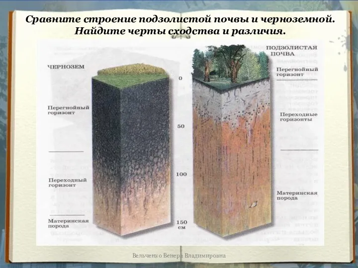 Сравните строение подзолистой почвы и черноземной. Найдите черты сходства и различия. Вельченко Венера Владимировна