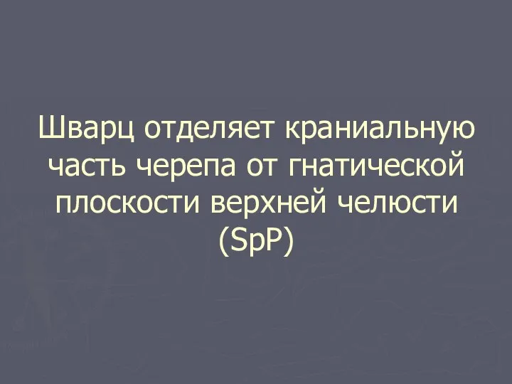 Шварц отделяет краниальную часть черепа от гнатической плоскости верхней челюсти (SpP)