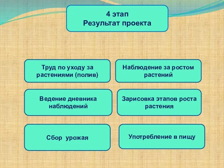 4 этап Результат проекта Употребление в пищу Сбор урожая Ведение