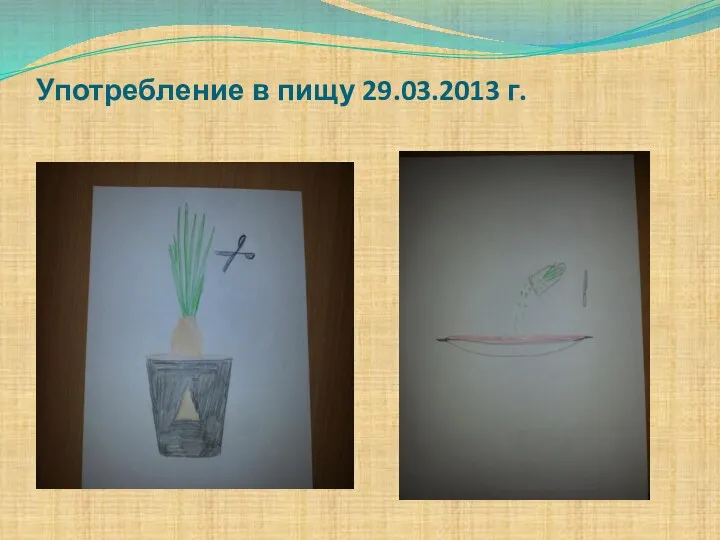 Употребление в пищу 29.03.2013 г.