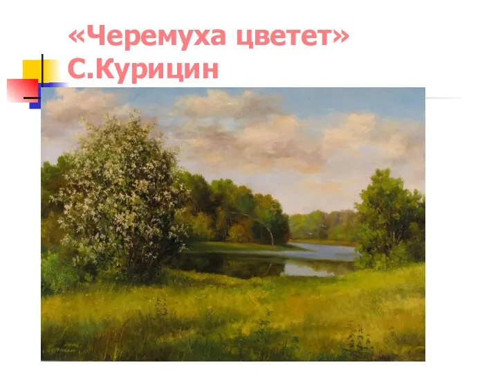 «Черемуха цветет» С.Курицин