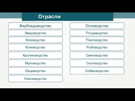 Отрасли животноводства Верблюдоводство Звероводство Козоводство Коневодство Кролиководство Муловодство Овцеводство Оленеводство